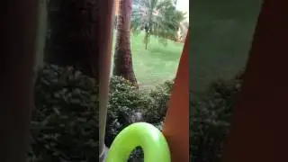 Номер)