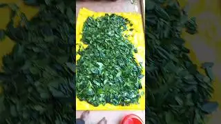 All Spice Plant|