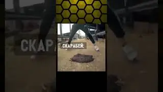 ПРИРУЧЕНИЕ ДИНОЗАВРОВ В ARK MOBILE! 