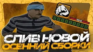 СЛИВ ПРИВАТНОЙ ОСЕННЕЙ СБОРКИ ДЛЯ ГТА САМП | EVOLVE RP