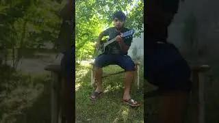 Гитара точики