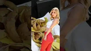 Как почистить трубу дымохода 🔥