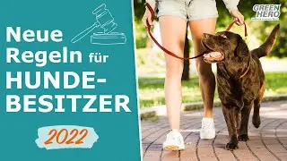 Neue Tierschutz - Hundeverordnung 2022 | Das müssen Hundebesitzer beachten!