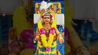 Ayyappan whatsapp status tamil, 🙏சுவாமியே சரணம் ஐயப்பா 🙏