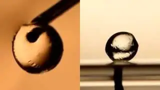 Wrapping of liquid droplets with ultrathin sheets