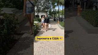 Зарплата в США 🇺🇸