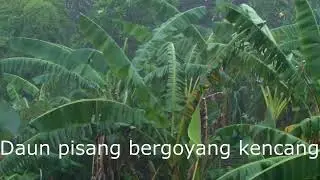 Pertemuan 10 - Topik 1 Penambahan Teks ke Video dengan Filter Text