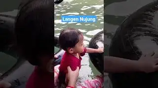 BERENANG DI AIR PEGUNUNGAN
