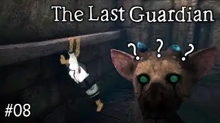 Toriko Kills Me & I Do Dumb Things | The Last Guardian #08