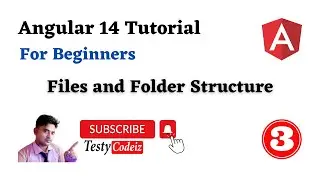Angular 14 Tutorial For beginners, Files and Folder structure of Angular, Angular with Testcodeiz