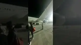 Ave impacta la turbina del vuelo 549 de Aeroméxico en Cancún