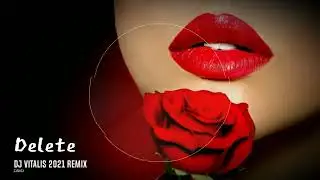 Delete (Vitalis remix)