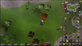 OSRS - UIM Road to Max #17 - Thieving