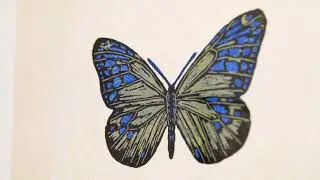 Brooke Molla | Looking at Nature | Mesa Contemporary Arts Museum – Spring 2023