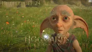 Hogwarts Legacy Gameplay - Part 24 | Hufflepuff | No Commentary | 4K