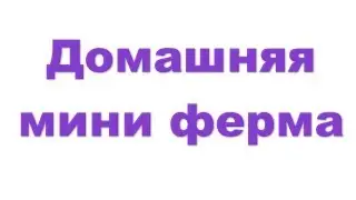 🍅 Купить домашнюю ферму по выращиванию огурцов и помидоров  Домашняя мини ферма что это 🍅