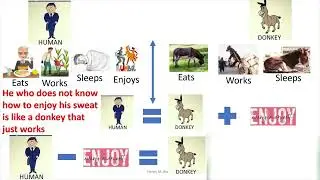 MANDONKEY