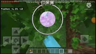 Minecraft but if i see a chicken the video ends