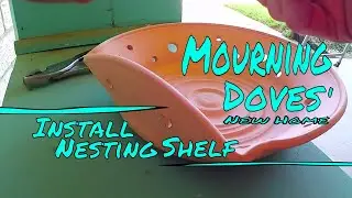 ♥ How to install Turtle Doves' nesting shelf. EZ Livin' for the birds!