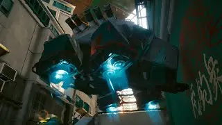 Cyberpunk 2077 NPC All skin