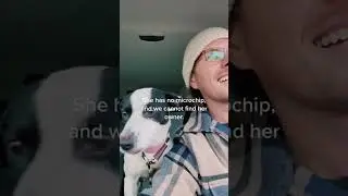 Guy Rescues Dog Running on Street While it Snowed
