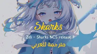 Zeli - Sharks (lyrics مترجمة)