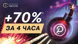 Полкадот взлетела в цене на 70%. Что ждёт монету в будущем? Разговор с экспертами / Голос Крипты
