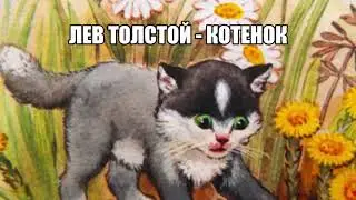Лев Толстой   Котенок