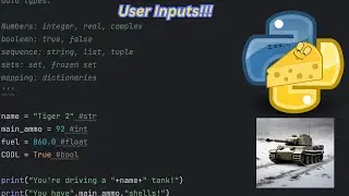 How to handle inputs in Python