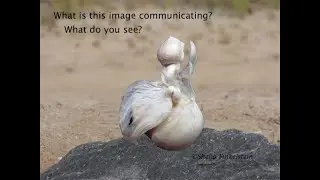Magic of Shifting Perspectives -  Responses on a Facebook Share