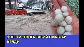 УЗБЕКИСТОНДА ТАБИЙ ОФАТЛАР БОШЛАНДИ
