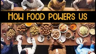 How Food Powers Your Body: The Ultimate Guide