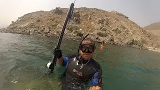 Spearfishing in UAE