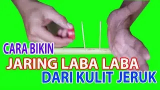 Cara Membuat Jaring Laba-Laba Dari Kulit Jeruk