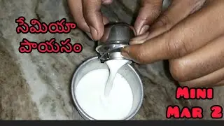 సేమియా పాయసం in miniature. moka den