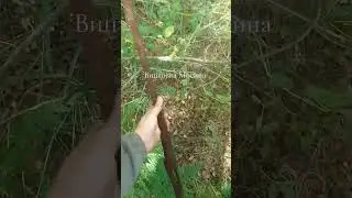 Всё что осталось от винтовки за 80 лет