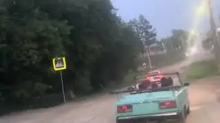 Коры могут