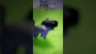 егор