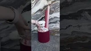 А вы заметили, что в упаковке я использовала другую пленку? 😂#букетизконфет  #букетизбабочек