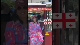 Signagi, City Of Love #shorts #travel #ritzyventurez #georgia