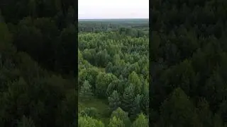 Природа России #путешествия #nature #россия #automobile #врекомендации ##костромскаяобласть