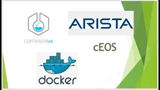 How to setup Arista cEOS Docker Image