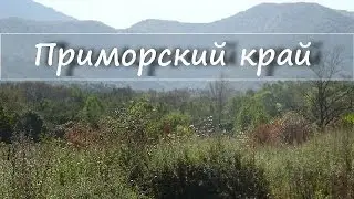 The nature of Primorsky Krai