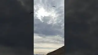 Кастро на Красной площади