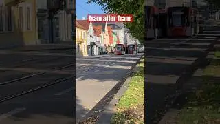 When You can’t cross the road due to Tram after Tram #shorts #bergen #bybanen #tram #lrt #norway