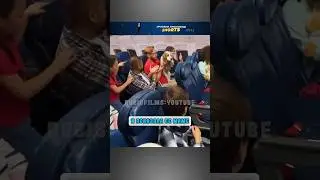 А вы против животных в самолете? 🤔
