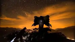 DAWN