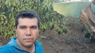 MOSTRANDO MINHA CHÁCARA COMO SERÁ QUE VAI ESTÁ QUANDO EU VOUTA