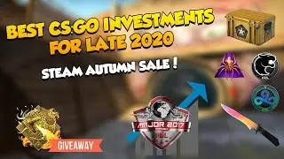 BEST CS:GO INVESTMENTS FOR LATE 2020 | STEAM AUTUMN SALE