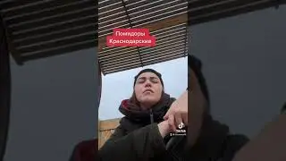 #помидоры